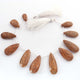 1  Strand Picture Jasper Faceted Briolettes - Pear Shape Briolettes -20mmx9mm-36mmx13mm - 9 Inches BR1004 - Tucson Beads