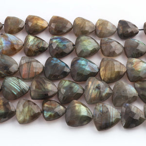 1 Strand Labradorite  Faceted  Briolettes  - Trillion Shape Briolettes  13mm-14mm- 16mmx17mm  -9.5 Inches BR02135 - Tucson Beads