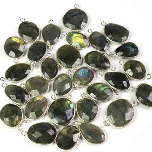 29 Pcs Labradorite 925 Sliver Plated Faceted Assorted Shape Gemstone Bezel  Connector & Pendant  - 20mmx18mm PC502 - Tucson Beads