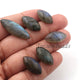 6 Pcs Amazing Labradorite Smooth Cabochon Spectrolite - Marquise Shape Multi Fire Loose Gemstone -29mmx10mm-20mmx10mm LGS171 - Tucson Beads
