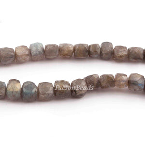 1 Strand Labradorite Faceted Cube Beads Briolettes -  Labradorite Box Shape Beads 8mmx7mm  7 Inches BR2420 - Tucson Beads