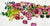 Tucson Beads Loose Gemstones