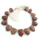 1   Strand  Unakite Faceted Briolettes - Pentagon Shape Briolettes -11mmx11mm- 22mmx15mm - 9 Inches br02419 - Tucson Beads