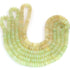 1 Strand Green Chalcedony Smooth Rondelle ,Carved Watermelon Gemstone Beads  7mm- 18 inch -BR03968