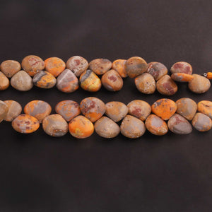 1   Strand  Bumble Bee Jasper Smooth Briolettes -Heart Shape  Briolettes - 16mmx18mm- 9 Inches BR0441 - Tucson Beads