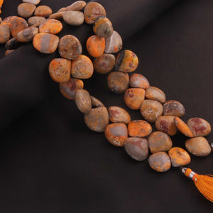 1   Strand  Bumble Bee Jasper Smooth Briolettes -Heart Shape  Briolettes - 16mmx18mm- 9 Inches BR0441 - Tucson Beads