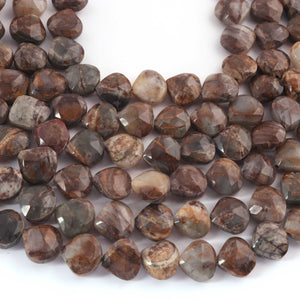 1  Strand  Astrophyllite Faceted Briolettes - Heart Shape Briolettes -11mmx10mm- 12mmx11mm - 10 Inches br03525 - Tucson Beads