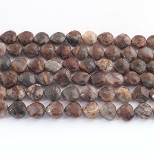 1  Strand  Astrophyllite Faceted Briolettes - Heart Shape Briolettes -11mmx10mm- 12mmx11mm - 10 Inches br03525 - Tucson Beads