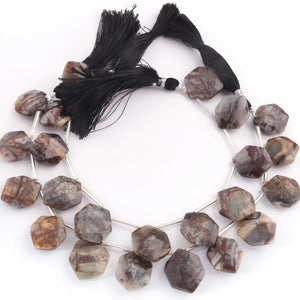 1  Strand  Astrophyllite Faceted Briolettes - Hexagon Shape Briolettes -16mmx13mm- 20mmx19mm - 8 Inches br03526 - Tucson Beads