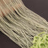 AAA Prehnite Micro Faceted 2mm  Beads -  GSIB-23