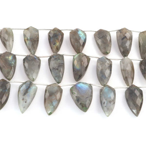 1 Strand  Labradorite Faceted Briolettes - Arrowhead Shape  Briolettes -17mmx10mm- 23mx12mm-9 Inches BR02119 - Tucson Beads