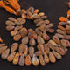 1 Strand  Bumble Bee Jasper Smooth Briolettes -Pear Shape  Briolettes - 13mmx11mm-26mmx10mm 8 Inches BR3642 - Tucson Beads