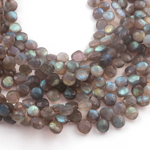 1  Strand Labradorite Faceted Briolettes  -Semi Precious Gemstone Coin Shape Briolettes  7mm -10 Inches BR03275 - Tucson Beads
