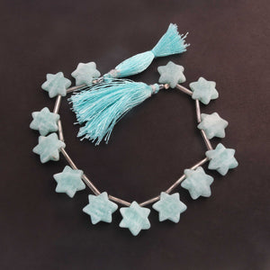 1 Strand Amazonite  Star Shape Smooth Briolettes  - 15mm-8 Inches BR03327 - Tucson Beads