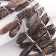 1 Strand Beautiful Leopard Skin jasper Smooth Briolettes - Long Pear Shape Briolettes -29mmx8mm-37mmx10mm - 10 Inches BR02422 - Tucson Beads