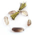 1  Strand Bio Lemon And Smoky Quartz Smooth Briolettes - Assorted Shape Beads 24mmx16mm-38mmx13mm ,8 Inches BR4411