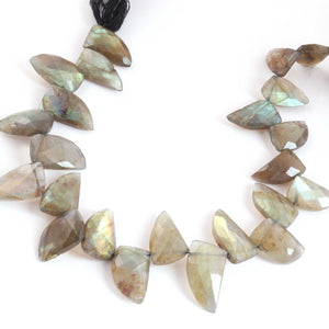 1 Strand  Labradorite Faceted Briolettes -Horn Shape  Briolettes -16mmx11mm- 28mx10mm,10 Inches BR02116 - Tucson Beads