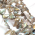 1 Strand  Labradorite Faceted Briolettes -Horn Shape  Briolettes -16mmx11mm- 28mx10mm,10 Inches BR02116