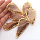 6 pcs Jasper Arrowhead  24k Gold  Plated Pendant -  Electroplated With Gold Edge 2.5 Inches AR316 - Tucson Beads