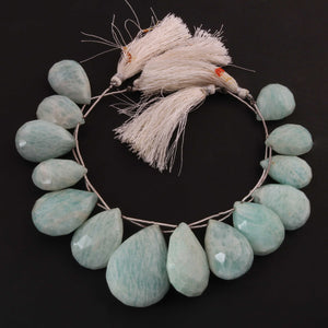 1  Strand  Amazonite Faceted Briolettes - Pear Shape Briolettes -21mmx14mm-25mmx10mm - 7.5 Inches03345 - Tucson Beads