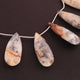 1 Strand Dendrite Opal Pear Shape Faceted Briolettes- 28mmx14mm-35mmx14mm 9 Inch BR3418 - Tucson Beads