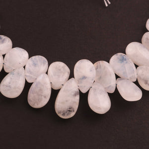 1 Strand White Rainbow Moonstone Smooth Pear Briolettes - 10mmx7mm-13mmx7mm 6.5 inches BR0155 - Tucson Beads