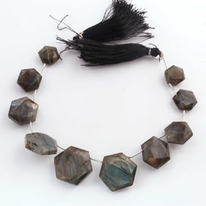 1 Strand Labradorite Faceted  Briolettes -  Hexagon Shape Beads 12mm-23mm- 9 Inches BR02269 - Tucson Beads
