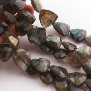 1 Strand Labradorite  Faceted  Briolettes  - Trillion Shape Briolettes  13mm-14mm- 16mmx17mm  -9.5 Inches BR02135 - Tucson Beads