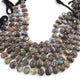 1 Strand Labradorite Faceted Fancy Shape Beads, Straight Drill Labradorite Fancy Beads,  Faceted  Briolettes 8mmx11mm- 10mmx14mm - 9.5 Inches BR03461 - Tucson Beads