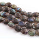 1  Strand Labradorite Faceted Briolettes  -Coin Shape Briolettes  12mm-17mm 8 Inches BR0180 - Tucson Beads