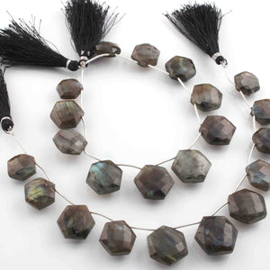 1 Strand Labradorite Faceted Briolettes  - Hexagon Shape Briolettes -13mmx11mm-21mmx18mm- 9 - Inches BR01281 - Tucson Beads