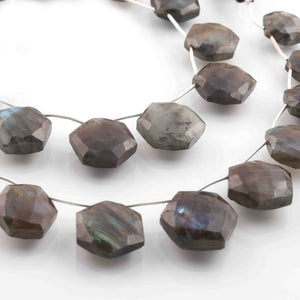 1 Strand Labradorite Faceted Briolettes  - Hexagon Shape Briolettes -13mmx11mm-21mmx18mm- 9 - Inches BR01281 - Tucson Beads