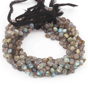 1 Strand Labradorite Faceted Coin Briolettes - Labradorite 5mm-7mm 10 Inches BR675 - Tucson Beads
