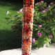 1 Strand Carnelian Silver Coated Smooth Oval Beads Briolettes - 7mmx6mm-10mmx6mm 13.5 Inches BR533 - Tucson Beads