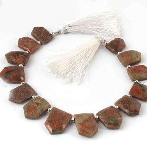 1 Strand Natural Unakite  Faceted Pentagon Shape Briolettes - Jewelry Making Supplies - 19mmx13mm-15mmx11mm 9 Inch BR3241 - Tucson Beads