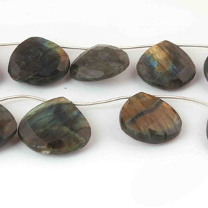 1 Strand Labradorite Faceted Heart Shape Briolettes - Jewelry Making Supplies - 27mmx25mm-22mmx22mm 8 Inch BR3263 - Tucson Beads