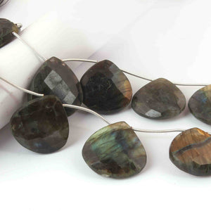 1 Strand Labradorite Faceted Heart Shape Briolettes - Jewelry Making Supplies - 27mmx25mm-22mmx22mm 8 Inch BR3263 - Tucson Beads