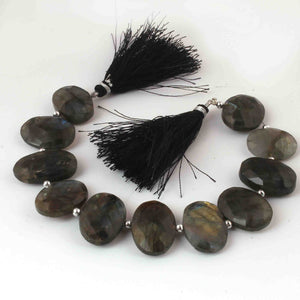 1 Strand Labradorite  Faceted Oval Shape Briolettes - Jewelry Making Supplies - 23mmx18mm-22mmx16mm 8 Inch BR3254 - Tucson Beads