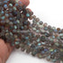 1 Strand  Labradorite Faceted Coin Shape Briolettes - Side Drill Beads - Labradorite Briolettes  7mm-8mm 9.5 Inches BR0258