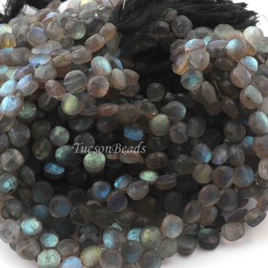 1 Strand  Labradorite Faceted Coin Shape Briolettes - Side Drill Beads - Labradorite Briolettes  6mm-7mm 9.5 Inches BR0257 - Tucson Beads