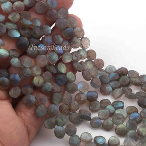 1 Strand  Labradorite Faceted Coin Shape Briolettes - Side Drill Beads - Labradorite Briolettes  6mm-7mm 9.5 Inches BR0257 - Tucson Beads