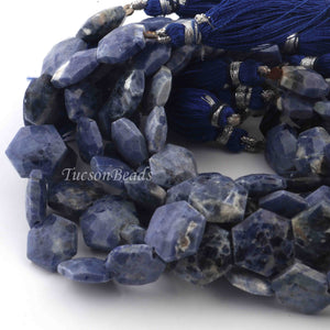 1 Strand Finest Quality Sodalite Faceted Hexagon Bead - Sodalite Hexagon Beads 15mmx14mm-10mmx11mm 8.5 Inches BR0270 - Tucson Beads