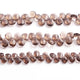 1  Strand Smoky Quartz Faceted Briolettes -Pear Shape  Briolettes  7mmx6mm-10mmx8mm -8 Inches BR02491 - Tucson Beads