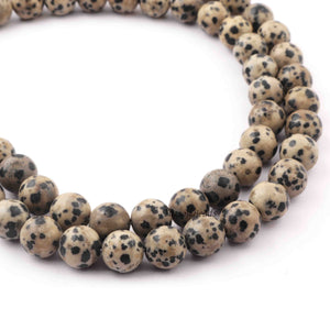 1 Strand Dalmatian Jasper  ,Best Quality , High Quality , Smooth Round Balls - Smooth Balls Beads -10mm 15 Inches BR0072 - Tucson Beads