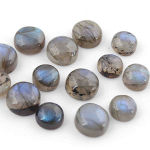 14 Pcs Blue Flash Labradorite Loose Gemstone , Smooth Round Shape Beads , Cabochon Gemstone - 10mm-12mm - LGS305 - Tucson Beads