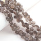 1 Strand  Grey Moonstone Faceted Briolettes - Heart Shape 10mm Briolettes  -8 inches BR0175 - Tucson Beads