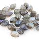 29 Pcs Blue Flash Labradorite Loose Gemstone , Smooth Pear Shape Beads , Cabochon Gemstone -10mmx7mm-12mmx8mm - LGS321 - Tucson Beads