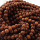 1 Strand  Wooden Stone Best Quality Smooth Round Balls - Smooth Balls Beads - 8mm 14.5 Inches BR0089 - Tucson Beads