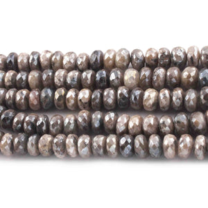 1  Long Strand Gray Moonstone Silver Coated Faceted Rondelles -Round Shape Roundels 10mm 15 Inches BR0668 - Tucson Beads