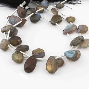 1  Strand Labradorite Faceted Briolettes -Pear Shape  Briolettes - 8mm-16mm - 6.5 Inches BR2682 - Tucson Beads